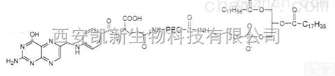 Lipid <em>PEG</em>s  <em>DSPE</em>-<em>PEG</em>-<em>Folate</em>,MW:2000,磷脂<em>PEG</em>叶酸