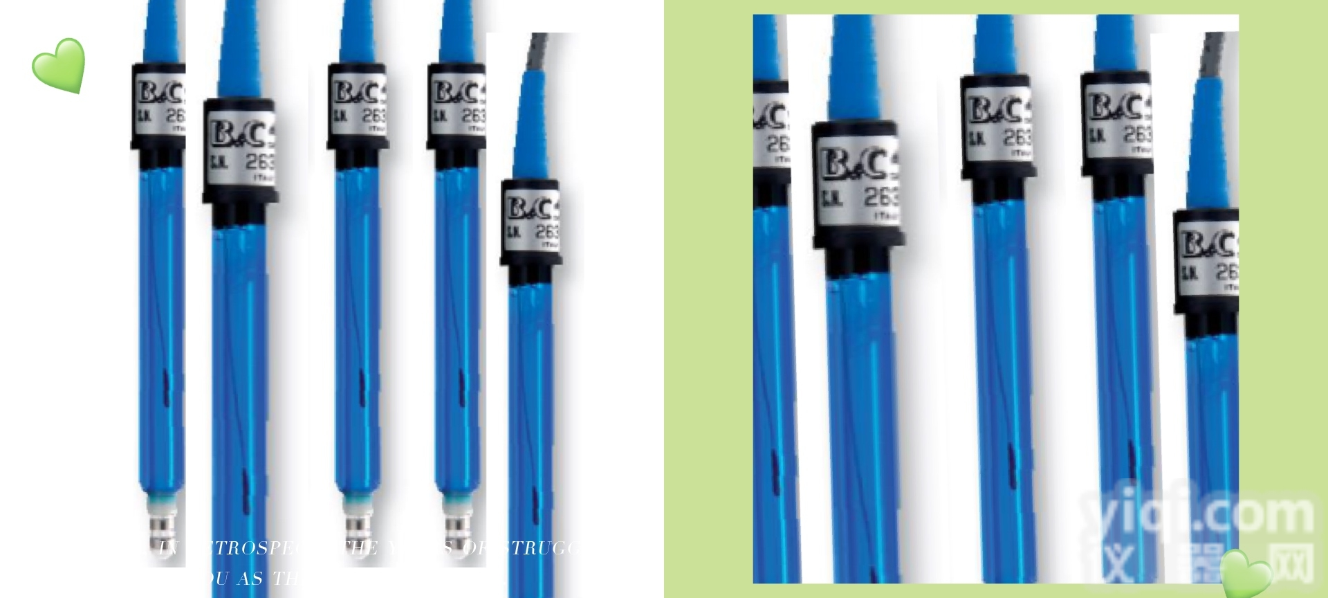 <em>意大利</em>匹磁恒压<em>余氯</em><em>电极</em>SZ283