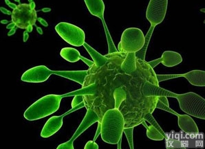 社区筛查  <em>甲型</em><em>流感</em>病毒社区体检快速<em>检测卡</em>