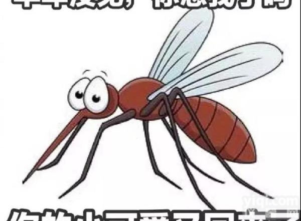 创仑试剂  新加波专用<em>登革热</em>三<em>联检</em>测<em>试剂盒</em>