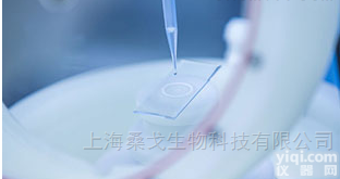 1098576  Nexterion<em>涂层</em><em>高性能</em>1.5H盖玻片