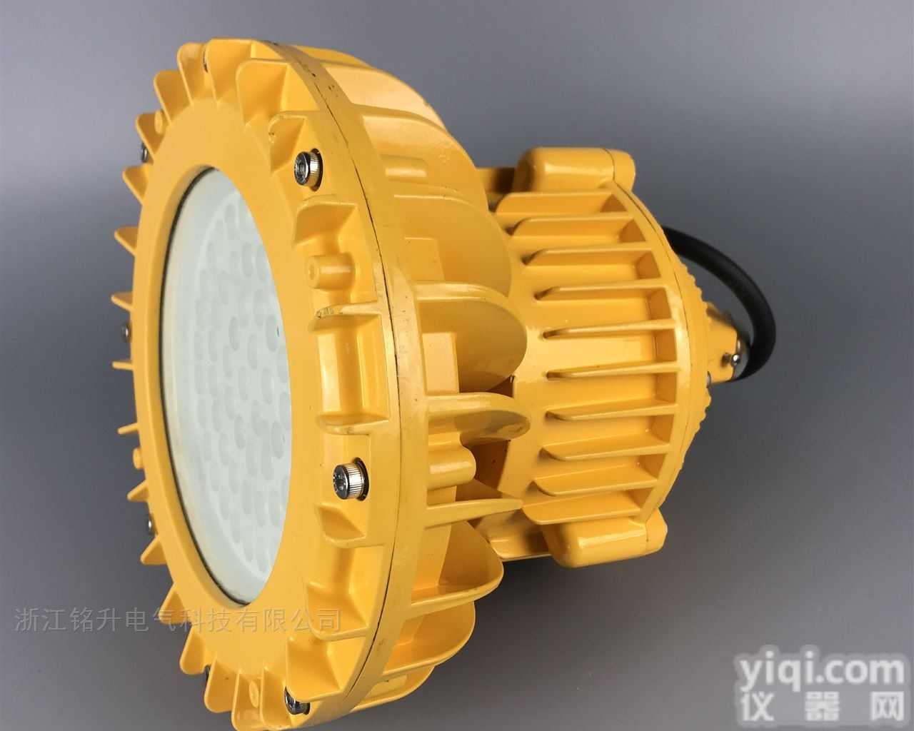 输煤<em>廊道</em><em>防爆灯</em>30瓦/低压DC24v防爆照明灯