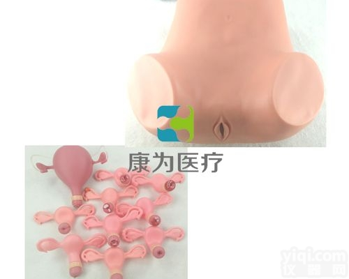 OG6116  <em>妇科检查</em><em>模型</em>|妇婴专科技能训练<em>模型</em>