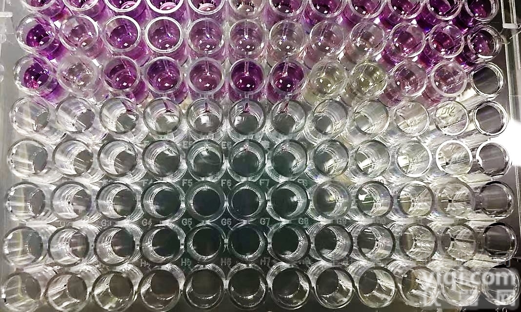 <em>植物</em><em>脯氨酸</em>（Pro）ELISA<em>试剂盒</em>厂家直销