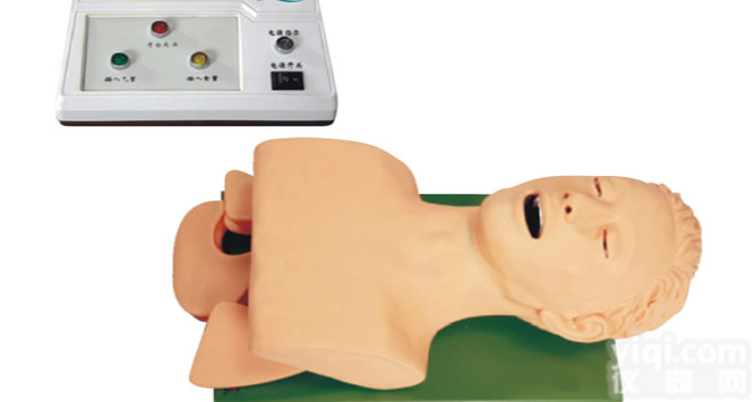 KAH-5S  电子人体<em>气管</em><em>插管</em>训练模型2（带<em>报警</em>）