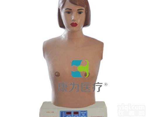 PE4813  <em>全自动</em>心肺触诊听诊模拟人|<em>临床</em>诊断模型