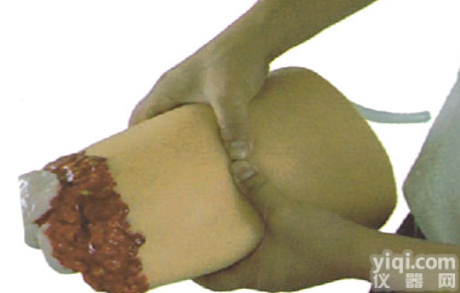 KAH/H3008  <em>下肢</em>外伤断肢<em>止血</em>模型2