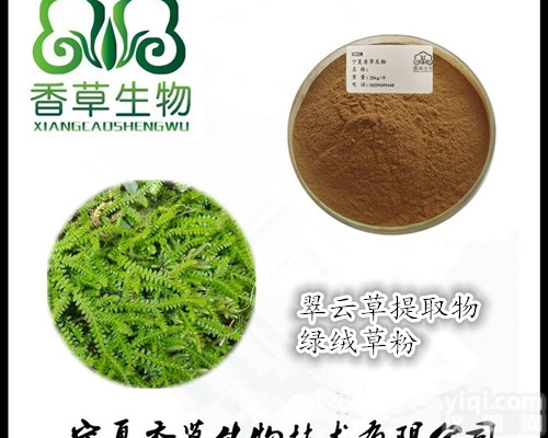 翠云<em>草粉</em>  翠云草<em>提取物</em> 绿绒<em>草粉</em> 龙须全粉