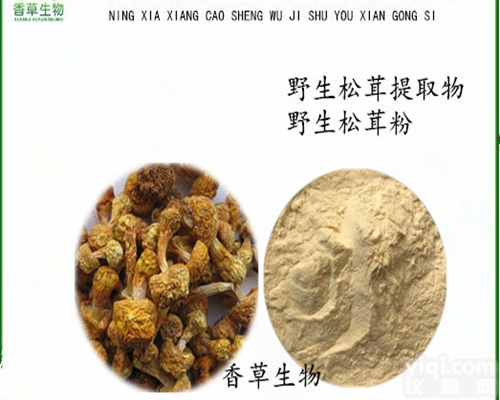 <em>松茸</em>纯粉  <em>松茸</em><em>提取物</em> 批发野生<em>松茸</em>粉  <em>松茸</em>多糖