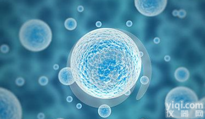 hce-0607  MC-38（MC38） <em>小鼠</em><em>结肠</em>癌<em>细胞株</em> 细胞产品