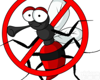 <em>澳大利亚</em>panbio  出入境严防<em>登革热</em>病毒NS1抗原试剂-柬埔寨