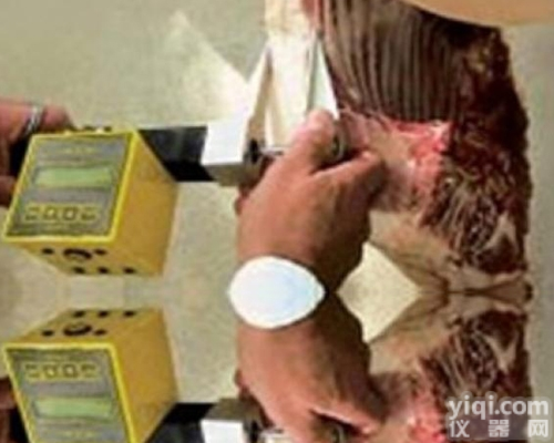 胴体<em>瘦肉率</em>测定仪LIN-STAR<em>德国</em>MATTHAUS