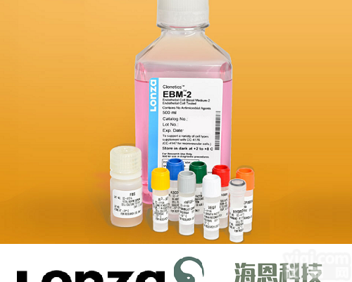 <em>CC-3162 Lonza EGM-2 内皮细胞培养基</em>套装