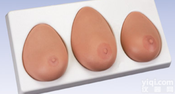 KAH-RF-1  高级乳fang检查<em>模型</em>（一套三<em>部件</em>）