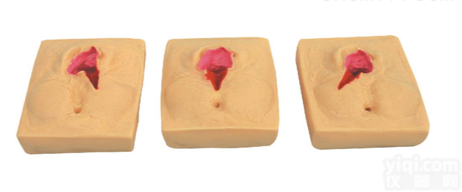 KAH-HY  高级硅胶<em>会阴</em><em>切开</em><em>缝合</em>练习模型