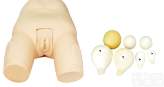 高级<em>子宫</em>底检查<em>评定</em><em>模型</em>