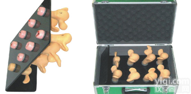 KAH-ZG  高级<em>子宫</em><em>宫颈</em><em>病变</em>模型2（8件）