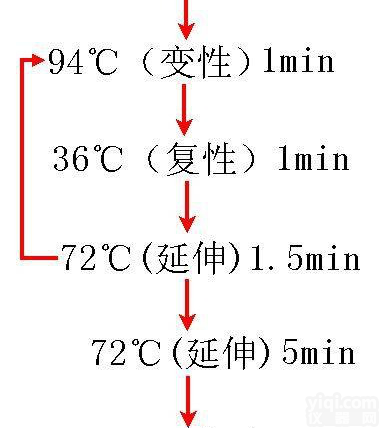 <em>禽流感</em>通用型H1-H15<em>亚型</em>PCR<em>试剂盒</em>供应商