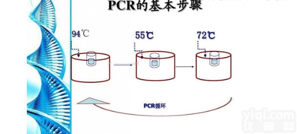 <em>田鼠</em><em>分枝</em>杆菌PCR检测<em>试剂盒</em>供应商