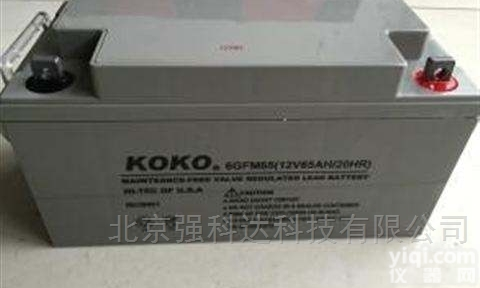 2v800ah  可可蓄电池GFM800<em>应急电源</em>使用