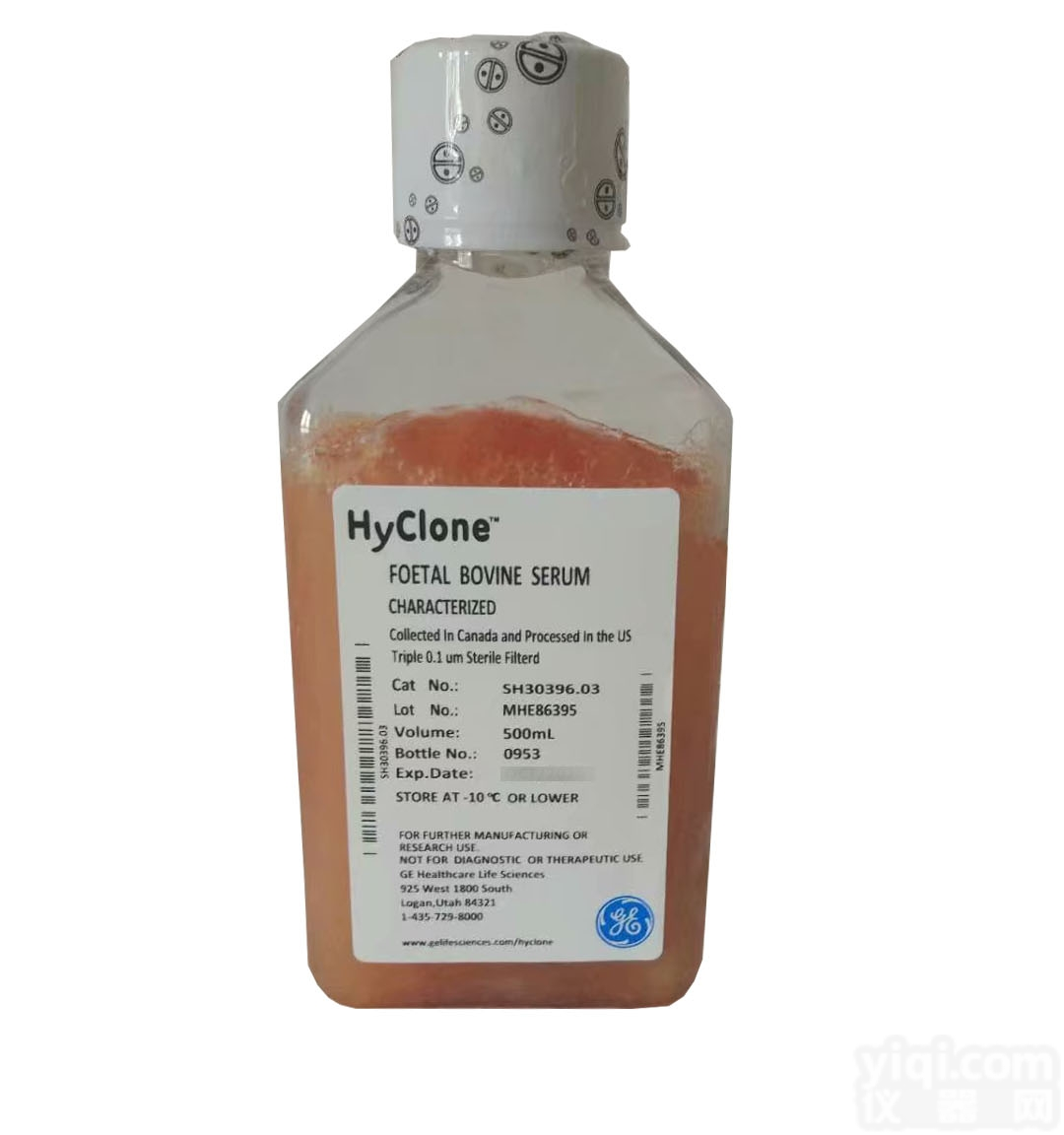Hyclone SH30396.03胎牛血清，加拿大源FBS