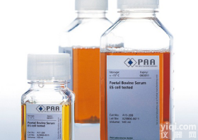 A<em>15</em>-<em>101</em>胎牛<em>血清</em> PAA