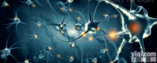 细胞种类全，KB细胞，人<em>口腔</em><em>表皮</em>样<em>癌细胞</em>