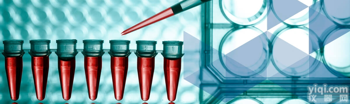 <em>WI</em>-38细胞-<em>WI</em>-38<em>细胞株</em>