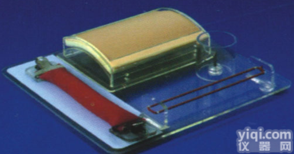 KAH/LV9  高级<em>外科</em>多<em>技能</em>训练模型