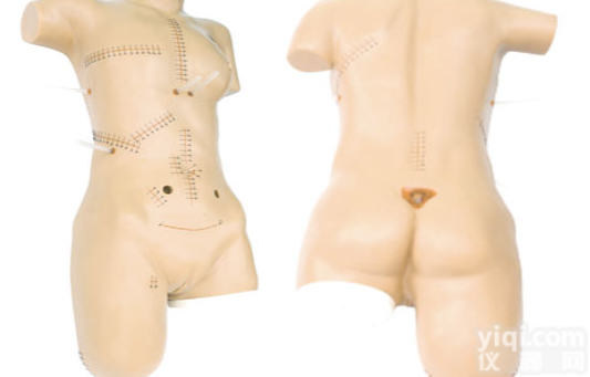 KAH-FH  <em>外科缝合包扎展示模型</em>