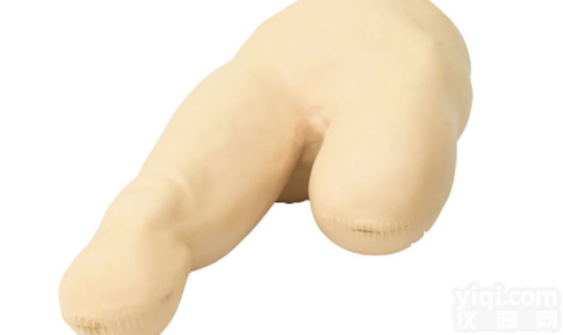 KAH/LV12  高级<em>低位</em><em>包扎</em>模型2