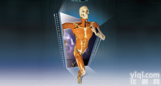 KAH-P902  系统<em>解剖</em>3D虚拟<em>教学系统</em>