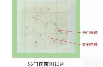 <em>日本</em>生研seiken  澳门专用检测沙门氏菌快速<em>检测卡</em>-novabios