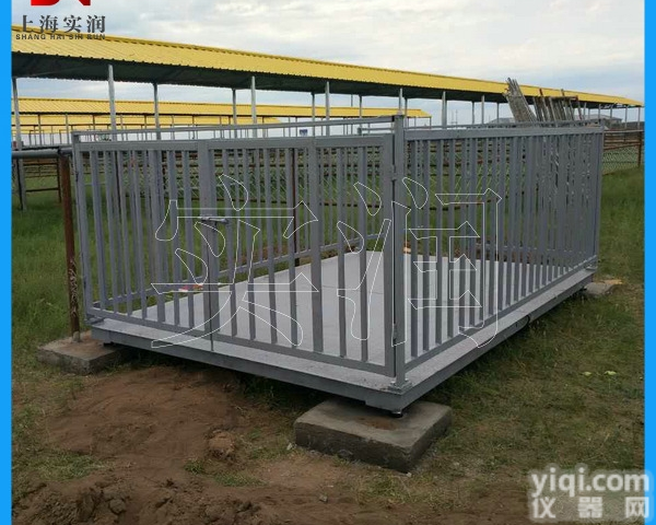 带<em>围栏</em>称猪、牛、羊<em>电子秤</em>,电子<em>牲畜</em>秤