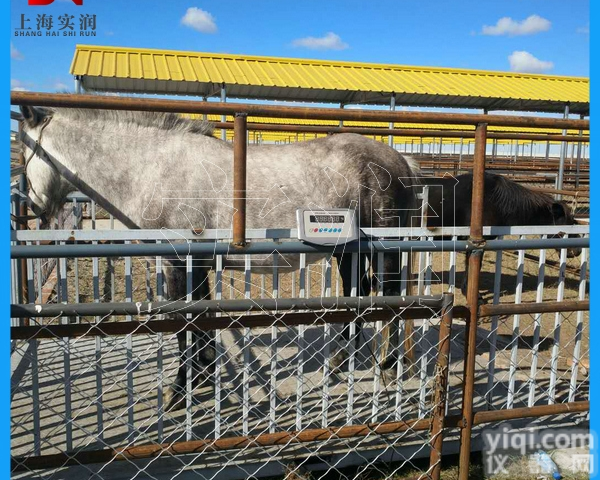 2吨称猪磅秤价格 2吨<em>牲畜</em>秤 2吨<em>围栏</em>秤