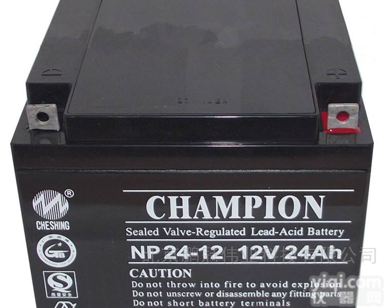 CHAMPION蓄电池NP40-12/<em>12V40AH</em><em>铅酸</em>高功率