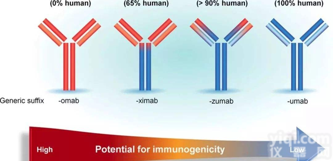 YKSO-012  亚克隆（<em>表达载体构建</em>）