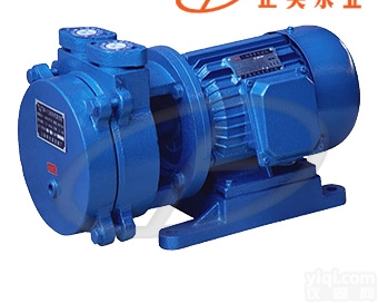 SK型  上奥Pai<em>直联式</em>水环<em>真空泵</em> 厂家直销 品质可靠