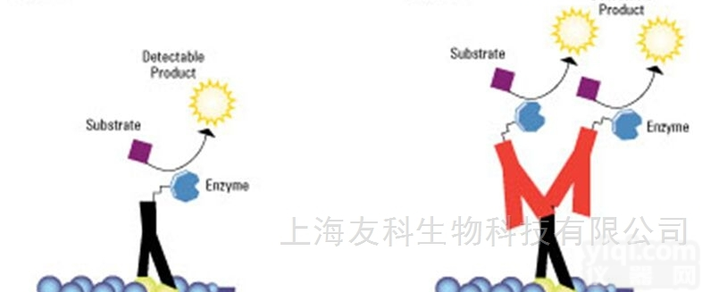 YKSO-013  原核蛋白<em>表达</em>与<em>纯化</em>