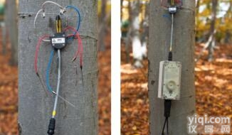 <em>EMS81便携式树木茎流观测仪</em>