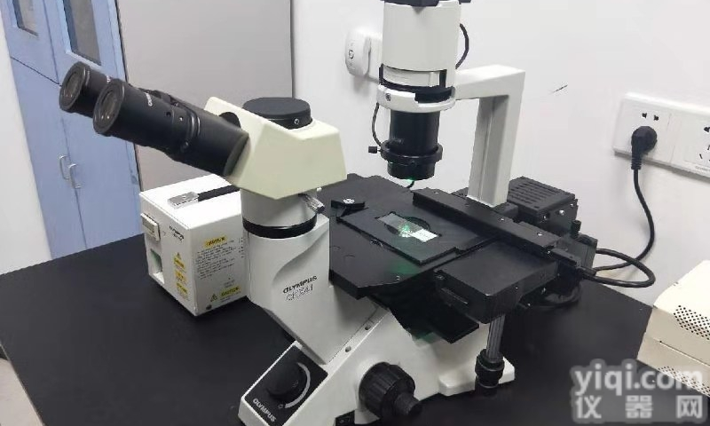 二手<em>奥林巴斯CKX41荧光倒置显微镜</em>