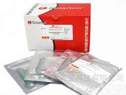 PG42015-N  Precast-Gel非变性蛋白<em>预制</em>胶 15孔