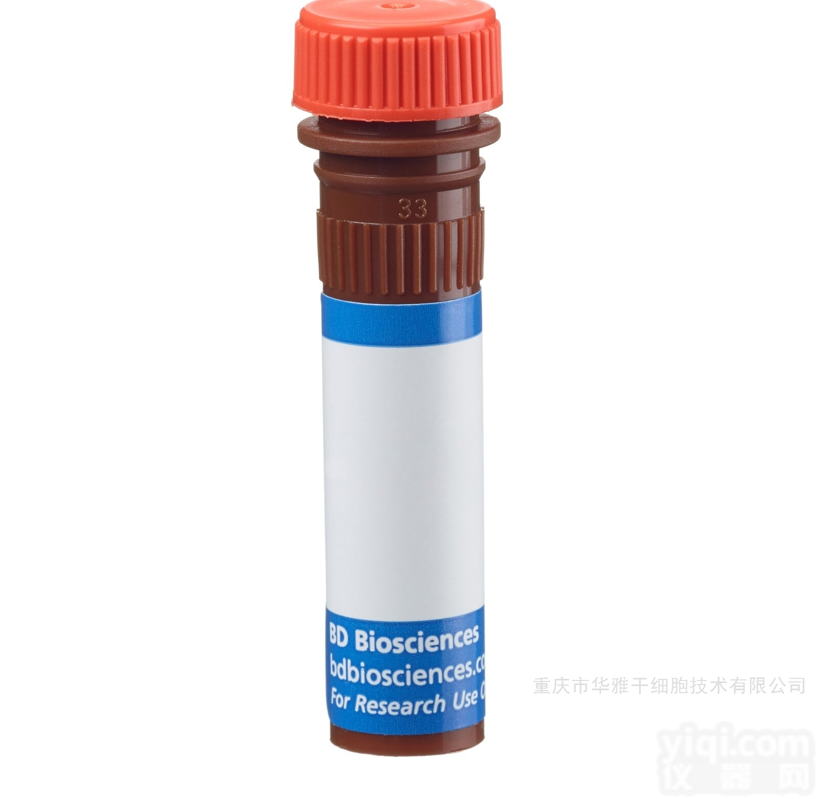 562817  <em>美国</em>BD <em>小鼠</em>抗人CD73 <em>克隆</em>AD2