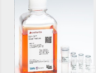 CellArtis Y40090  CellArtis人颞叶神经干细胞系无血清培养基