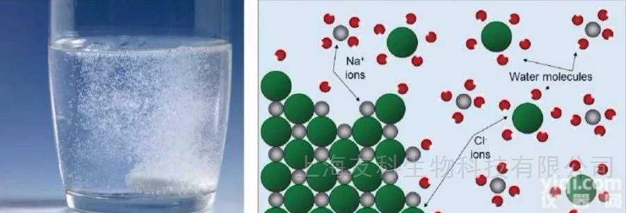 <em>竞争法</em>  检测<em>试剂盒</em>开发（<em>竞争法</em>）