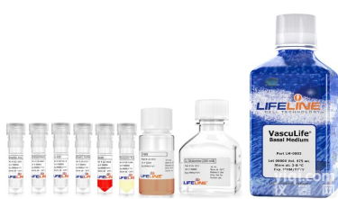 LL-0002  Lifeline血管<em>内皮</em><em>细胞</em><em>内皮</em>培养基成套试剂盒
