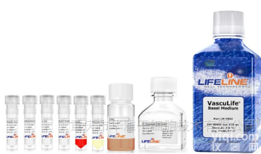 LL-0002  LIFELINE血管<em>内皮</em><em>细胞</em><em>内皮</em>培养基成套试剂盒