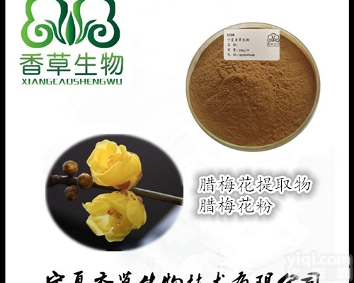腊<em>梅花</em>粉  腊<em>梅花</em>提取物 黄<em>梅花</em>粉130目 蜡花浓缩液