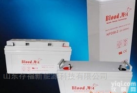 NP100-12/<em>12V100AH</em>  汗血马BLOODMA<em>蓄电池</em>NP-12/<em>12V100AH</em><em>型号</em>