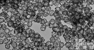 微纳米材料表面<em>有机</em>分子或<em>高分子</em>修饰